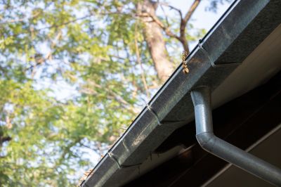 Gutter Cleaning Access