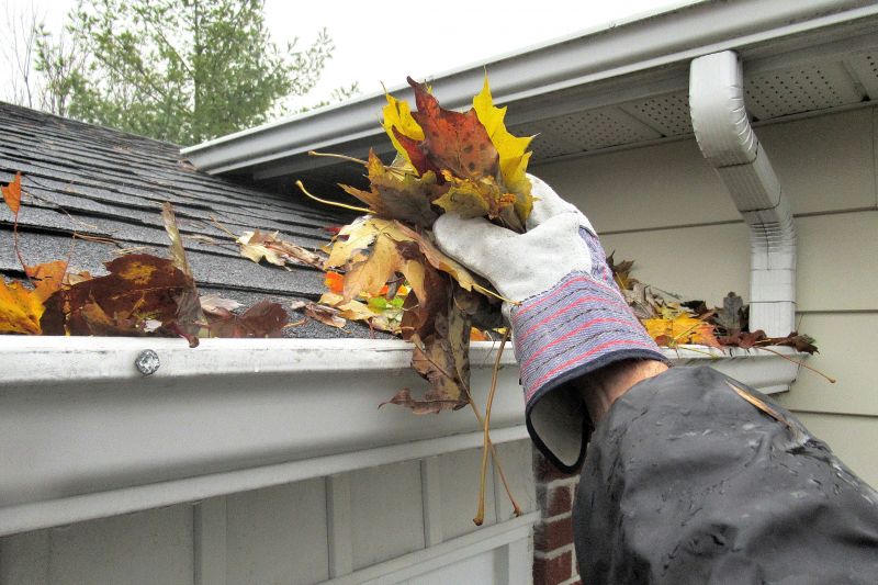 Debris in Gutters